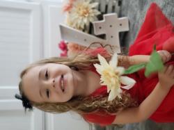 Fundraising Page Image